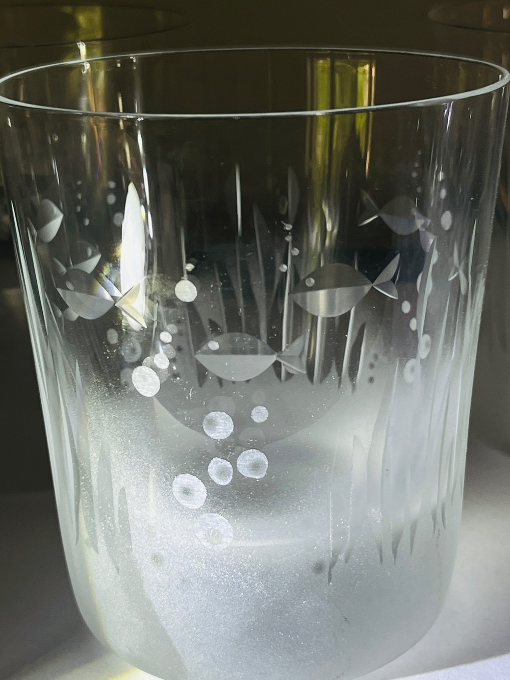 Ray Lapsys Signed Frosted & Etched Aquatic themed Rocks Glasses Set Of Four